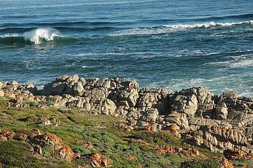 蚝湾 Oyster Bay Eastern Cape 