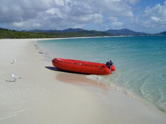 白色天堂海滩 Whitehaven Beach 