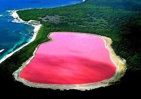 希利尔湖 Lake Hillier 