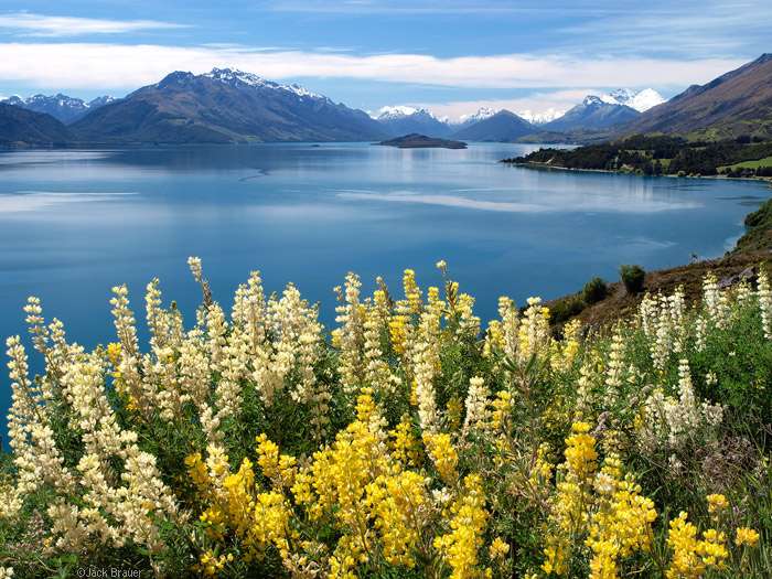 瓦卡蒂普湖 Lake Wakatipu 