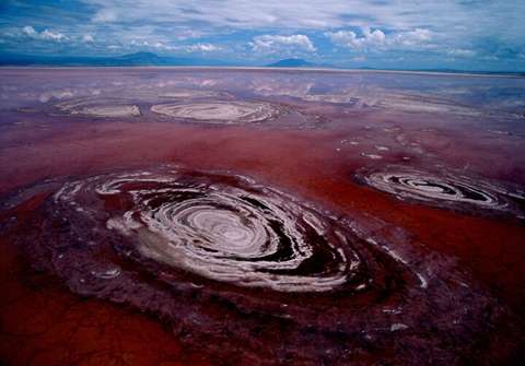 纳特龙湖 Lake Natron 