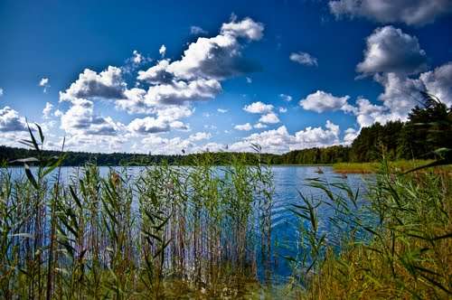 保利图霍拉国家公园 Bory Tucholskie National Park 