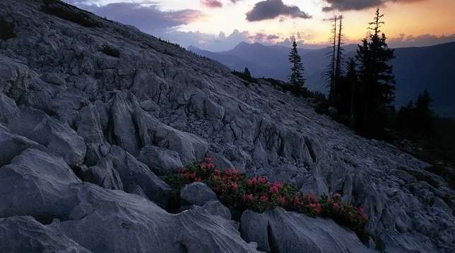 恩特勒布赫生物圈保护区 Biosphere Reserve Entlebuch 