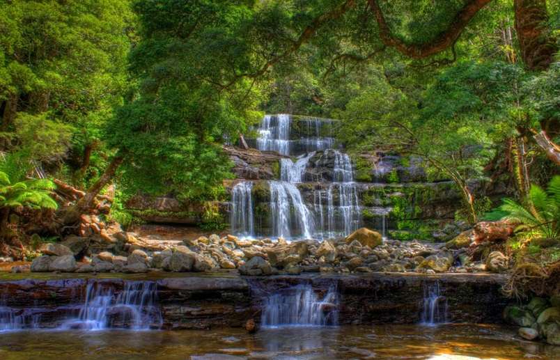 丽费瀑布州立保护区 Liffey Falls State Reserve 