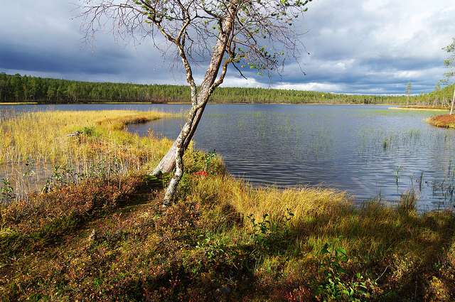 乌尔霍凯科宁国家公园 Urho Kekkonen National Park 