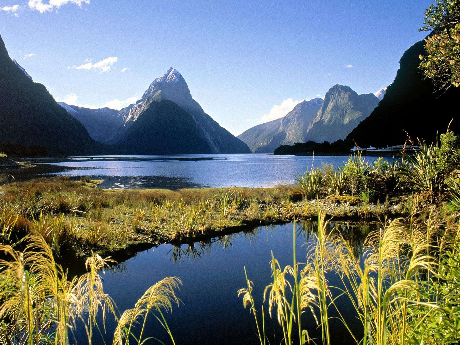 米弗峡湾 Milford Sound 