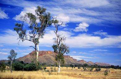 麦克唐奈尔山脉 MacDonnell Ranges 