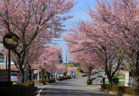 小山市 Oyama 