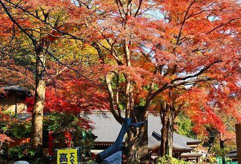 八王子市 Hachiōji 