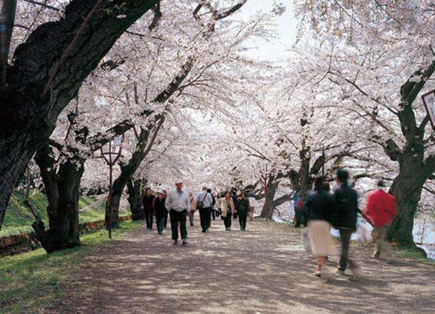 弘前市 Hirosaki 