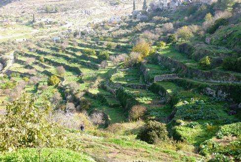 橄榄与葡萄酒之地—南耶路撒冷文化景观 Palestine: Land of Olives and Vines–Cultural Landscape of Southern Jerusalem Battir 