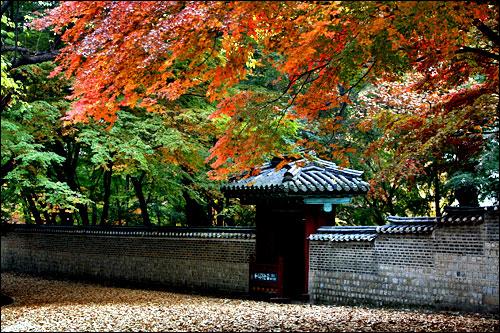 昌德宫建筑群 Changdeokgung Palace Complex 