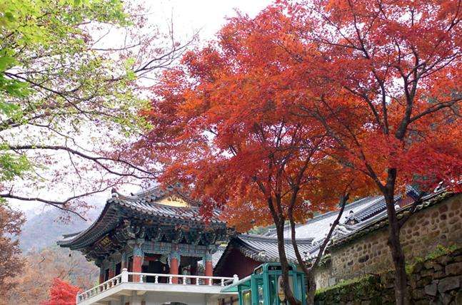 东鹤寺 Donghaksa 