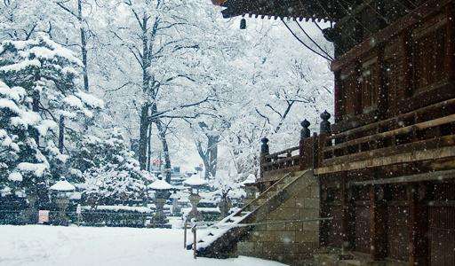 善光寺 Zenkoji Temple 