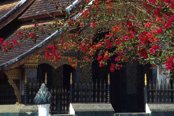 香通寺 Wat Xieng Thong 