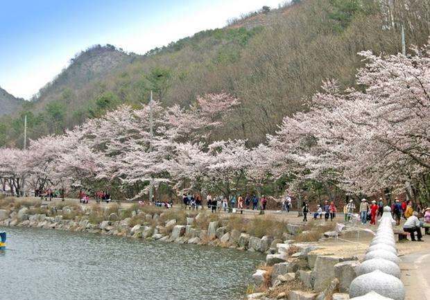 马耳山道立公园 Mt.Maisan Provincial Park 