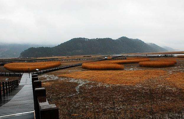 顺天湾自然生态公园 Suncheon Bay Eco Park 