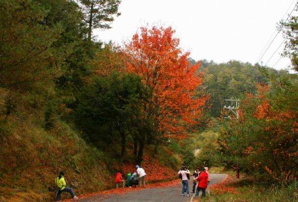 大雪山森林游乐区 Daxueshan Forest Recreation Area 