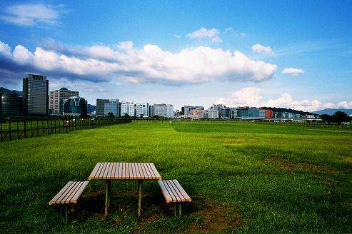 迎风河滨公园 Yingfenghebin Park 