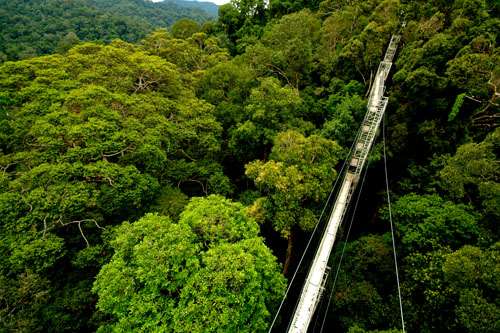 淡布隆国家公园 Temburong National Park 