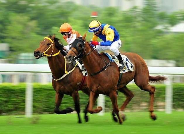 沙田马场 Sha Tin Racecourse 