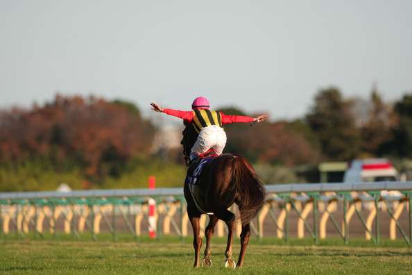 东京竞马场 Tokyo Racecourse 