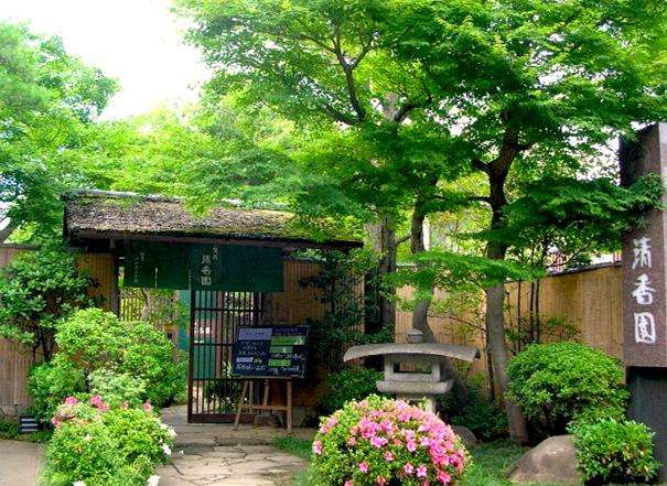 大宫盆栽村 Omiya Bonsai Village 