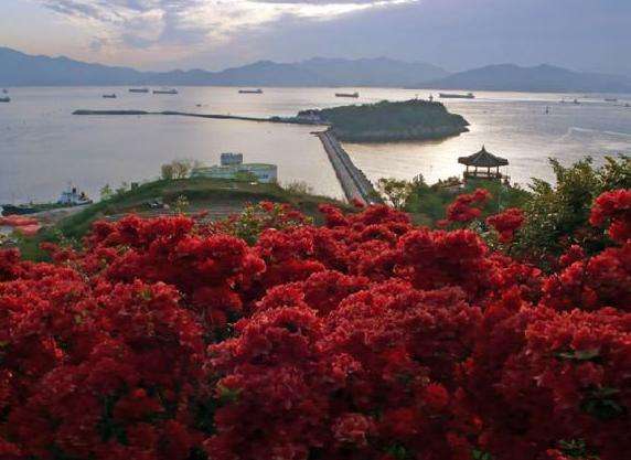 梧桐岛 Odongdo Island 