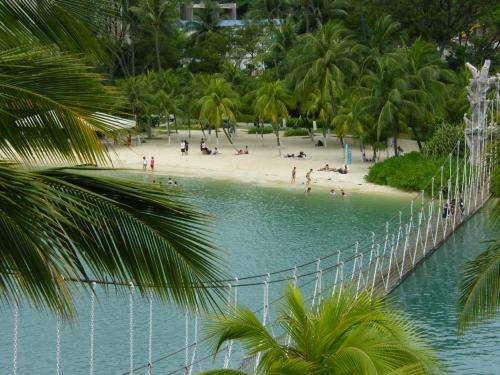 圣淘沙海滩 Sentosa Beach 