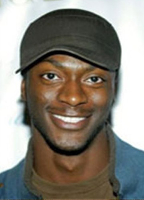 阿尔迪斯·霍吉 Aldis Hodge 