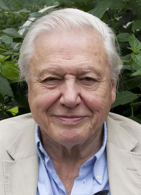 戴维·阿滕伯勒 David Attenborough 戴维·阿滕伯勒 戴维·爱丁保罗夫 大卫·艾登堡  大卫·艾登伯禄 David Frederick Attenborough 