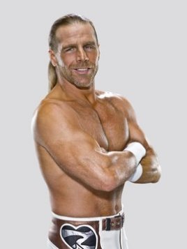 肖恩·迈克尔斯 Michael HickenbottomShawn Michaels Michael Hickenbottom