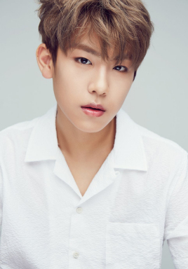 朴佑镇 麻雀 五金 大佬 虎牙 박우진 Park Woo-Jin