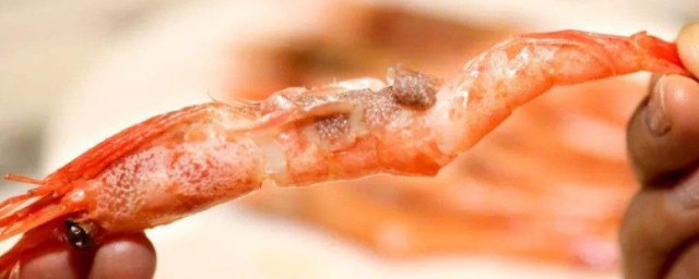 牡丹虾的籽能吃吗 牡丹虾的籽可以吃吗