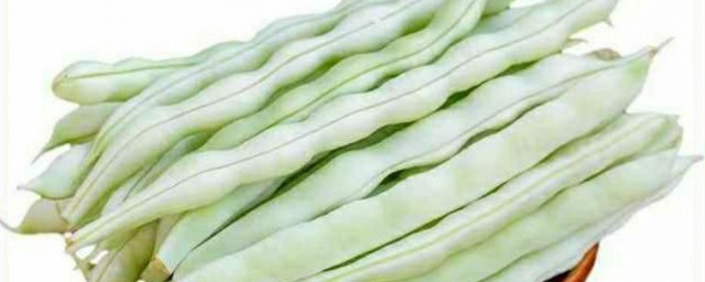 白不老豆角是什么豆角 白不老豆角介绍