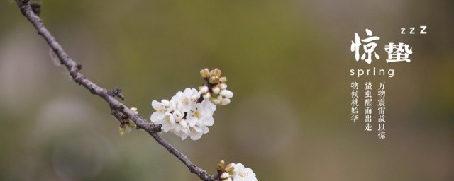 惊蛰节气的风俗 惊蛰节气的风俗有哪些