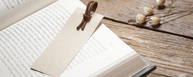 piggy什么意思中文 piggy中文是什么意思