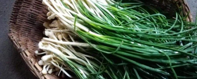 荞头可以生吃吗 荞头能不能生吃吗