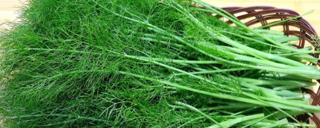 小茴香可以生吃吗 小茴香能生吃吗