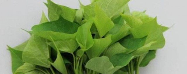 红薯叶可以生吃吗 红薯叶能生吃吗