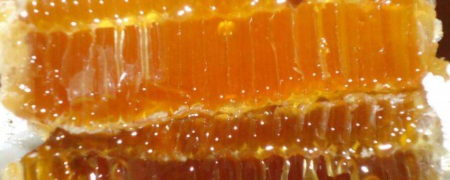 蜂胶是从哪里提取出来的 蜂胶是从什么地方提取出来的