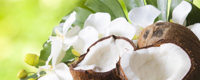 椰子对孕妇有什么好处 孕妇吃椰子有啥好处呢