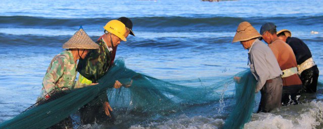 梦见河里好多大鱼 梦见有很多的鱼啥寓意呢