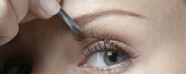 睫毛掉了之后还会生长出来吗 睫毛掉了还会不会再长