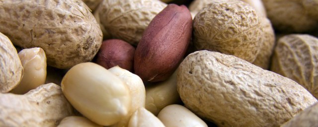 鲜花生能冷冻保存吗 鲜花生适合放在冰箱冷冻吗