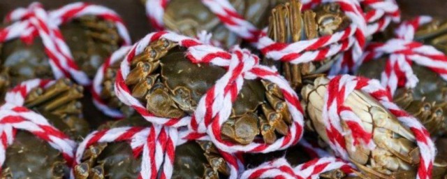 大闸蟹绑着能活几天 大闸蟹绑着可以活多久