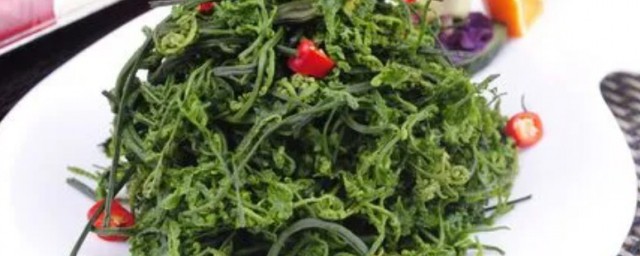 云龙菜是什么菜 云龙菜是啥菜 云龙菜是什么菜 云龙菜是啥菜