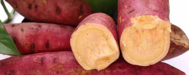 泡沫箱放红薯冬天会烂吗 泡沫箱放红薯冬天会不会烂