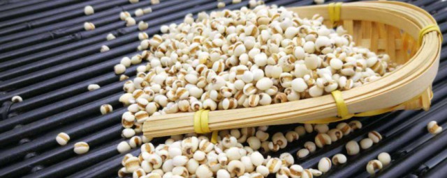 薏米要浸泡多久再煮 薏米要浸泡多长时间再煮