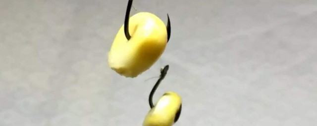 玉米挂钩的正确挂法 玉米挂钩的正确挂法介绍